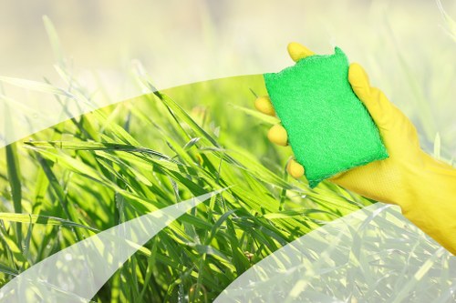 Professional carpet and upholstery stain removal in Northwood