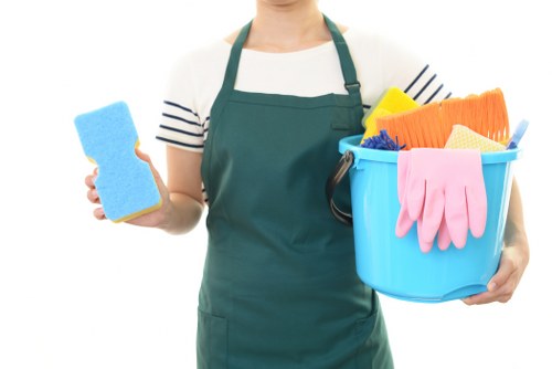 PPE and safe working equipment used by carpet cleaners