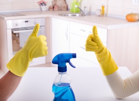 Carpet cleaning equipment ready for a professional service appointment