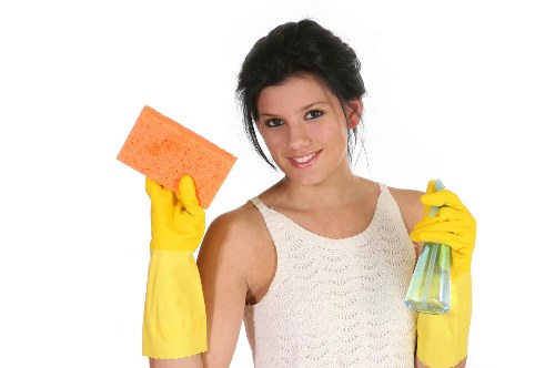 Illustration representing accessible Northwood Carpet Cleaners web content